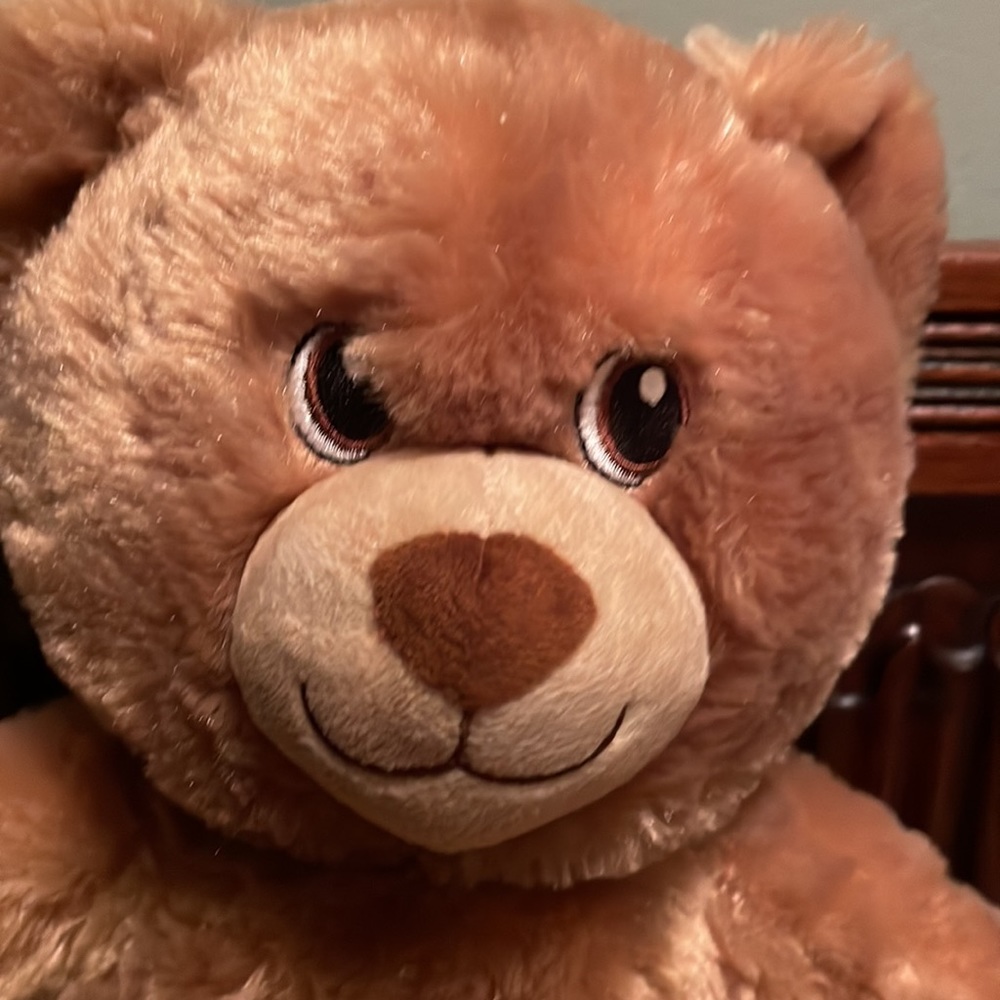 Build-A-Bear - Picture 2 of 11